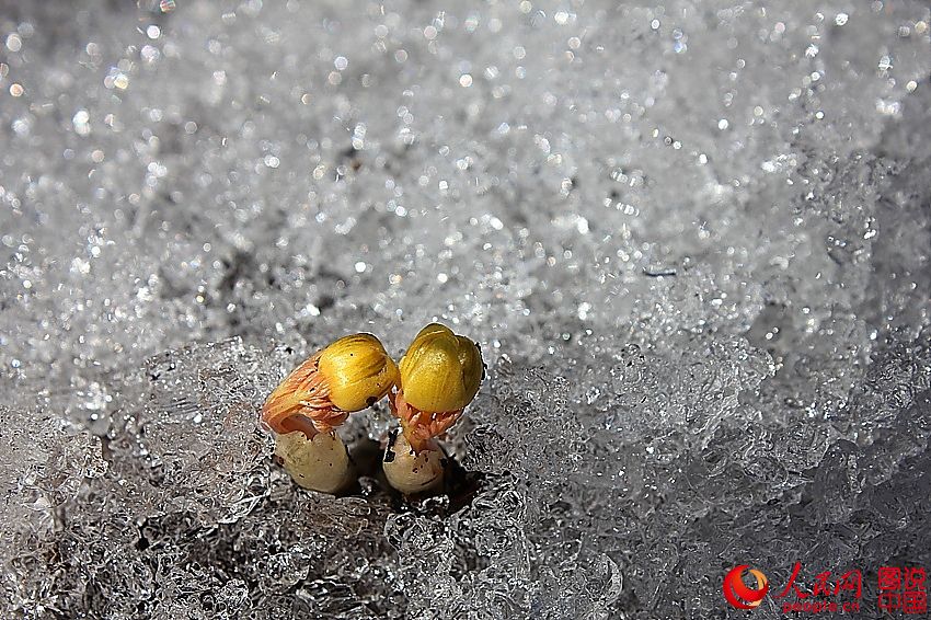 ????? ?? ??? ???? ???