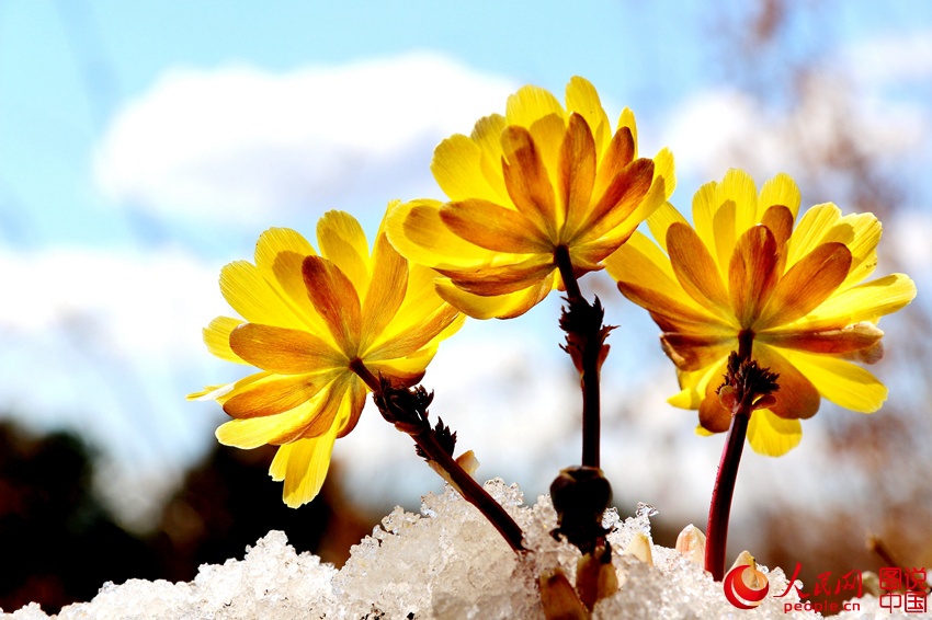 ????? ?? ??? ???? ???