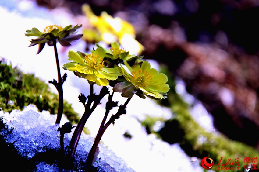 ????? ?? ??? ???? ???