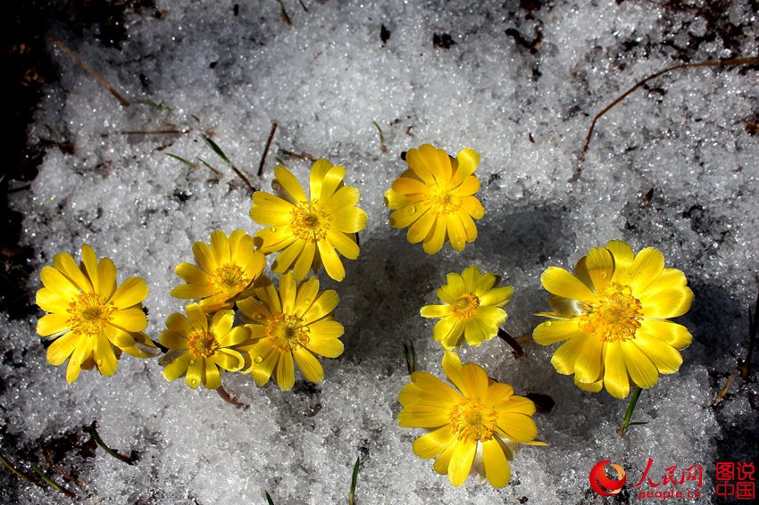 ????? ?? ??? ???? ???