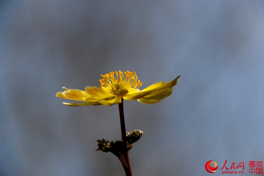 ????? ?? ??? ???? ???