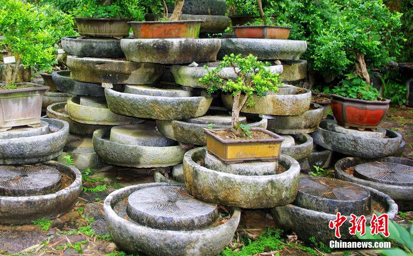 ?? ?? ?? ???? ??? ??…???“????”