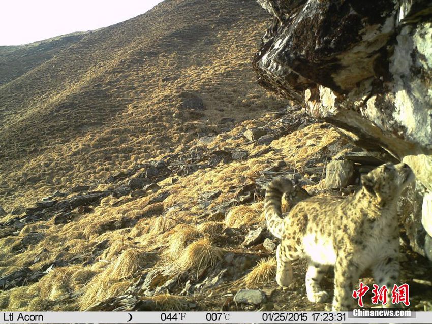 ?? ????, ???? ??? ?? ?? ?? 