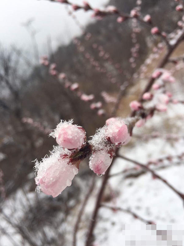 ??? ??? ?? ?? ‘4? ?’ ??… ?? ‘?? ??’