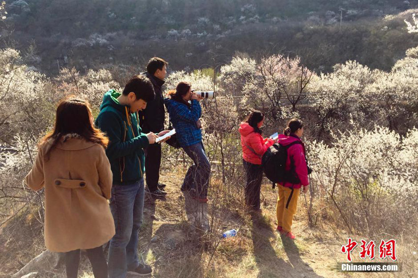 ?? ??? ?? ‘??? ?? ??’, ???(和諧號)