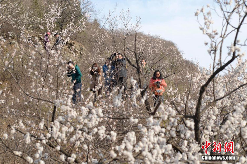 ?? ??? ?? ‘??? ?? ??’, ???(和諧號)