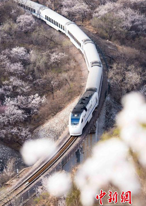 ?? ??? ?? ‘??? ?? ??’, ???(和諧號)