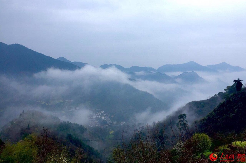 ?? ?(朱)? ?? ‘???? ??’ ?? ??