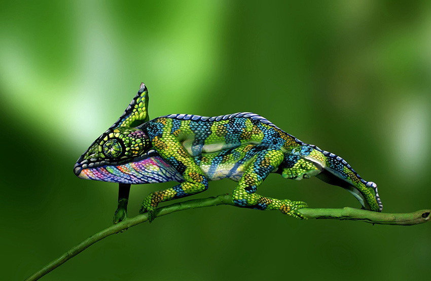 ??? ??? ? ??? ??? ? ?? ???