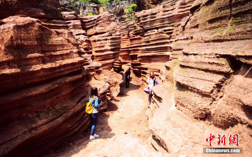 ?? ??? 1000?? ??? ?? ?? ??