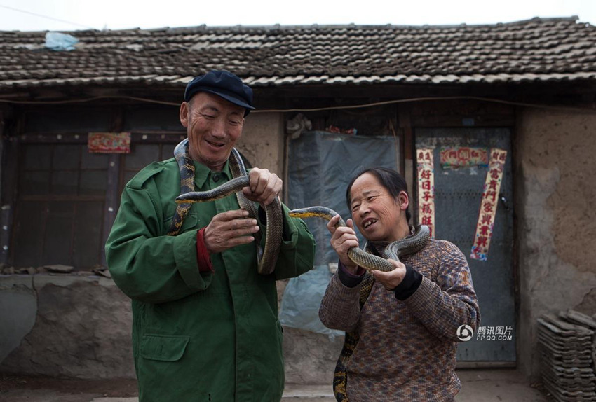 ?? ?? ????，?? ?? ‘?? ??’