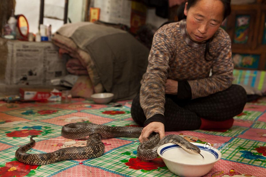 ?? ?? ????，?? ?? ‘?? ??’