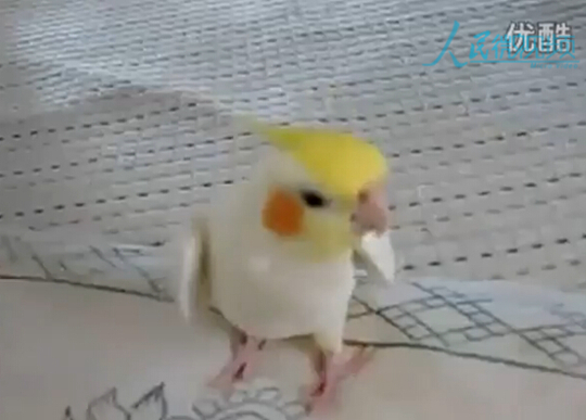 ???? ???? ???? ‘???’ ??? ??