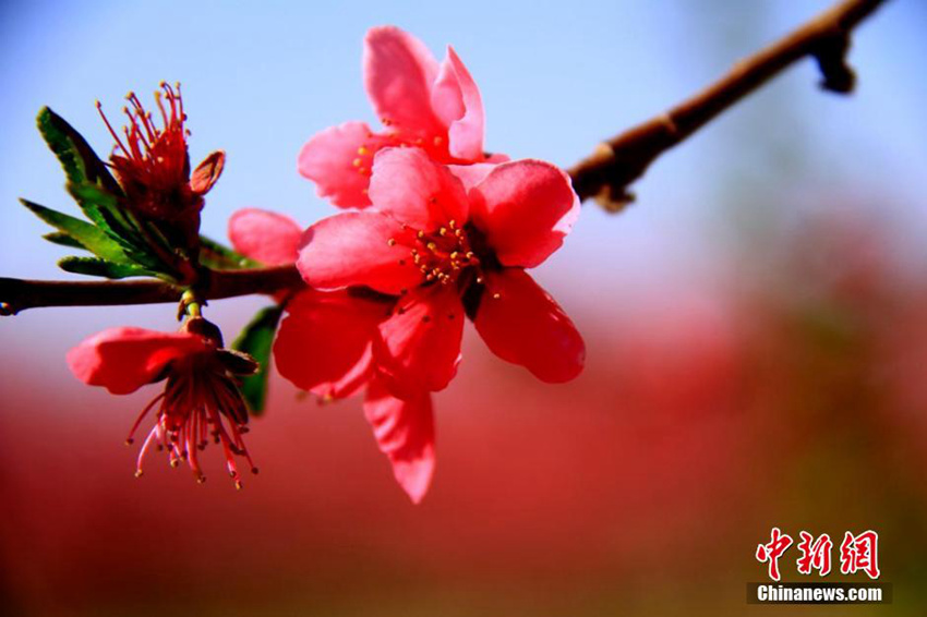 ??(祁連)? ?? ??? ??? ?… ?? ??