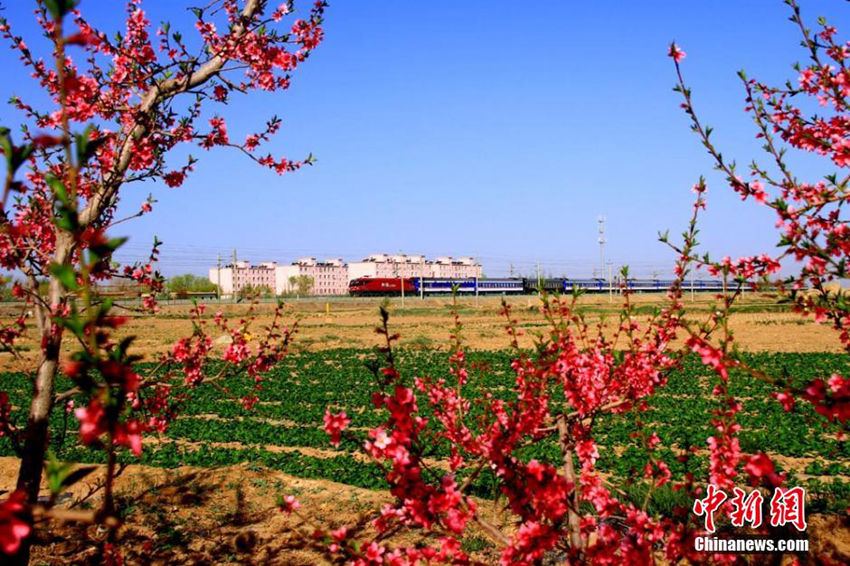 ??(祁連)? ?? ??? ??? ?… ?? ??