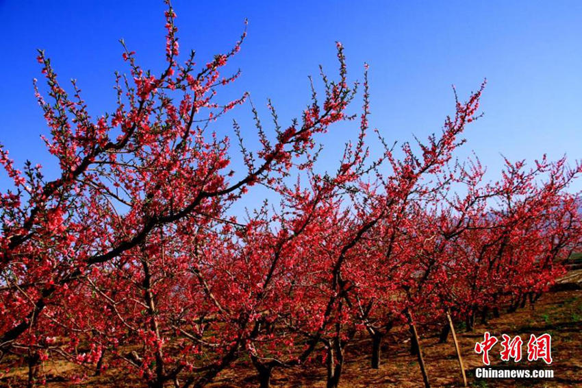 ??(祁連)? ?? ??? ??? ?… ?? ??