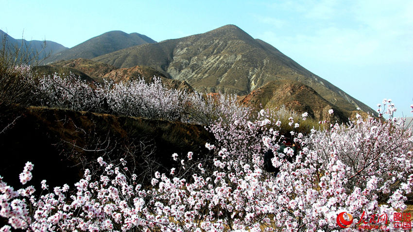 ??? ??? ??? ???? ??? ?? ??