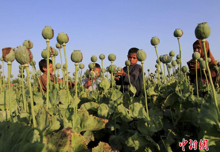 ?????? ???? ?? ??? ?? ??