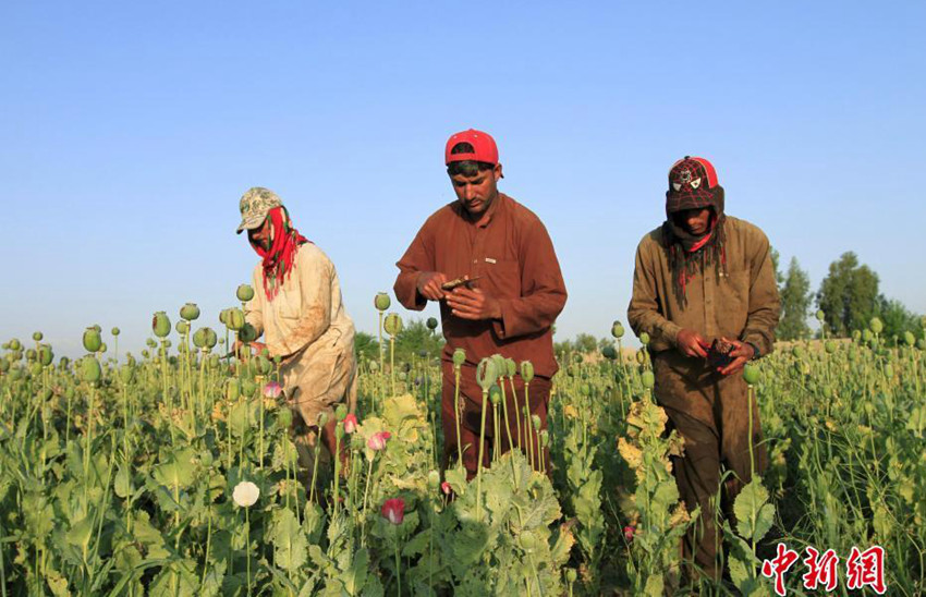 ?????? ???? ?? ??? ?? ??