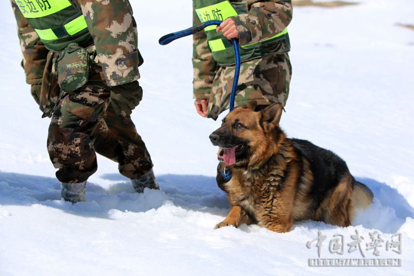 ?? ???? ???, ?? ? ??? ?? ? 