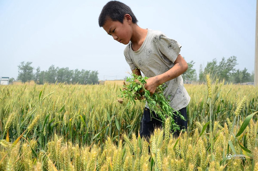 ?? 9? ?? ‘?? ?? ??? ??? ?? ??’