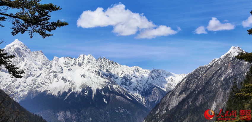 ???? ??(林芝)??, ?? ??? ??? ??? ?? 