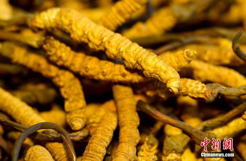 ?? ???? ?? ???, ?? ?? ‘????’ 