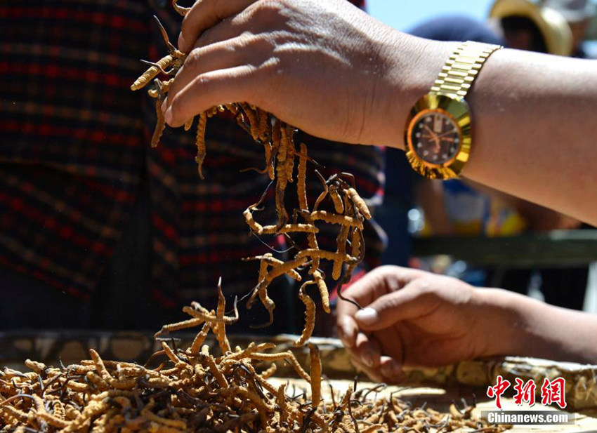 ?? ???? ?? ???, ?? ?? ‘????’ 