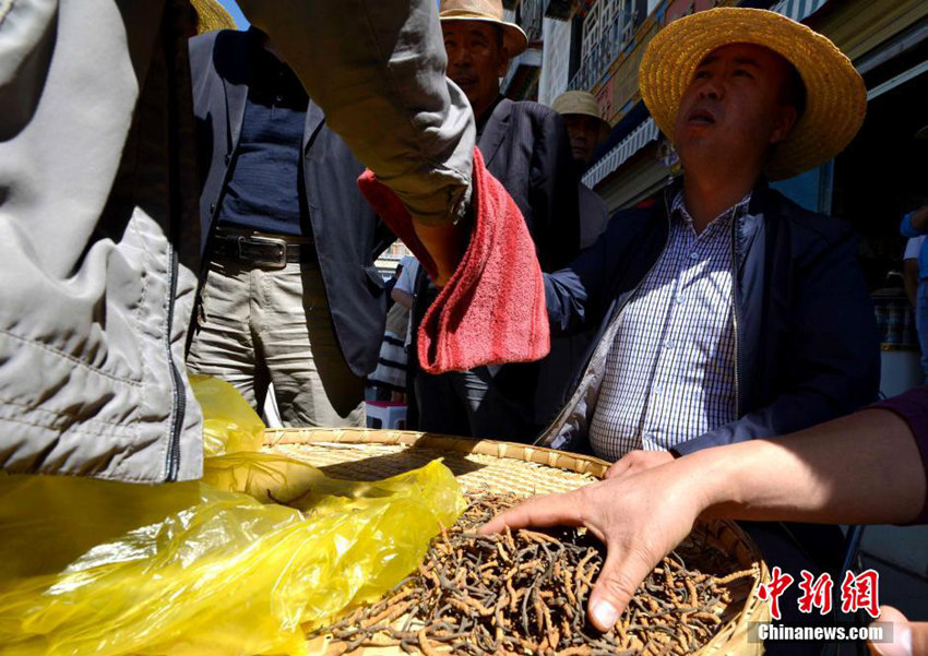 ?? ???? ?? ???, ?? ?? ‘????’ 