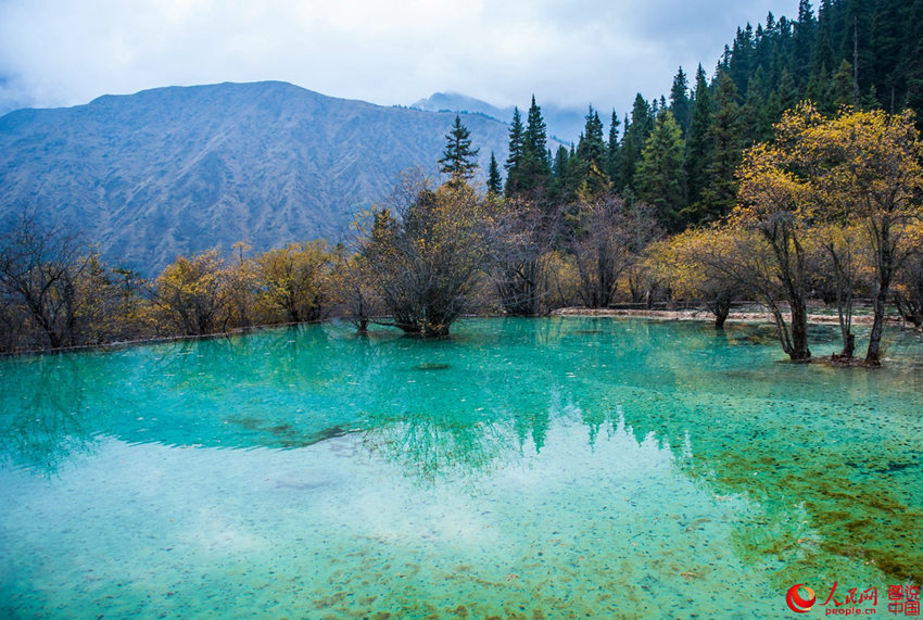 ??? ?? ?, ?? ??? ???? ?? ???