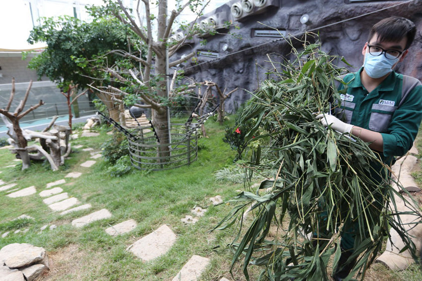 ???? ?? ‘????’? ‘??’? ??? ?? ?? 