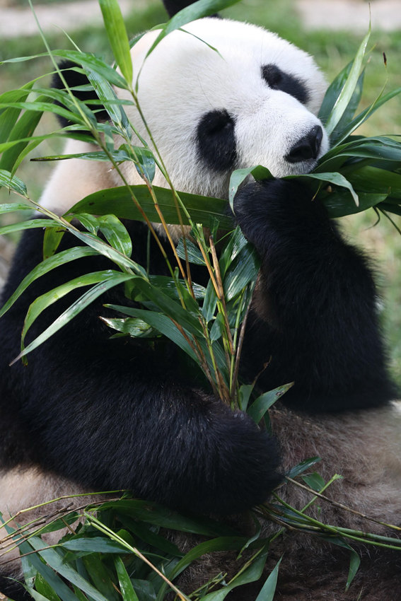 ???? ?? ‘????’? ‘??’? ??? ?? ?? 