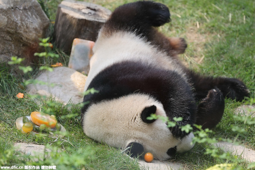 ???? ?? ?? ?? ‘??’… ???? ?? ??