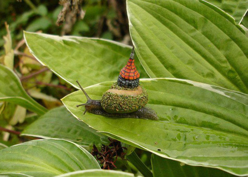 ??? ? ?? ???? ???? ??? ??! 