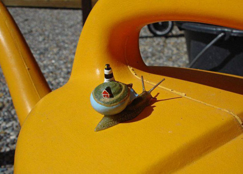 ??? ? ?? ???? ???? ??? ??! 