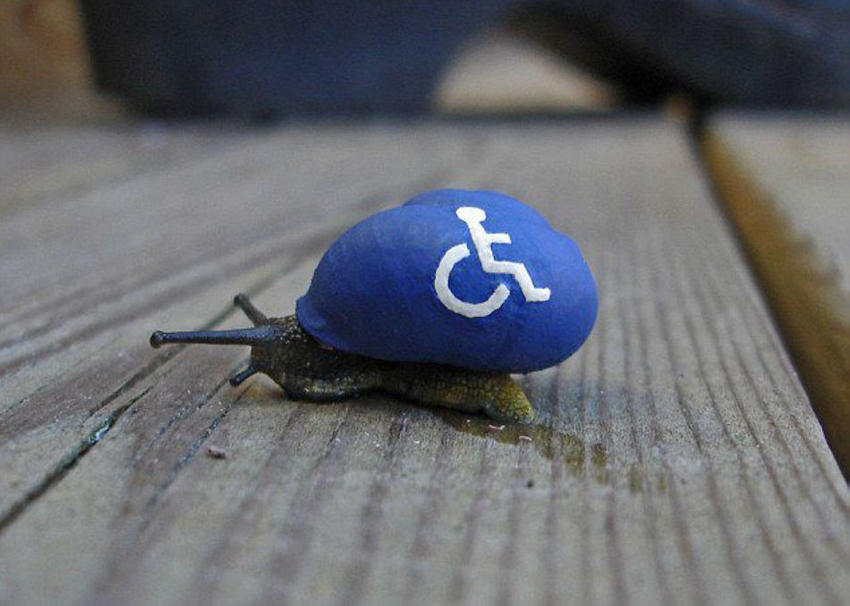 ??? ? ?? ???? ???? ??? ??! 