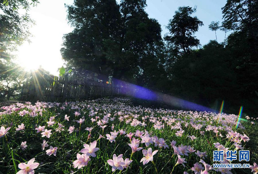 ?? ??? ???? ??…. ???? ?? ???!