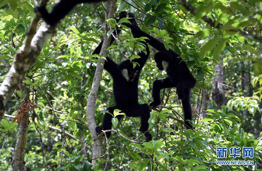 ?? ??? ???? ??…. ???? ?? ???!