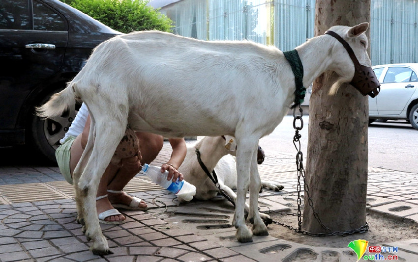 ?? ???? ???? ?? ?? ?? ‘????’