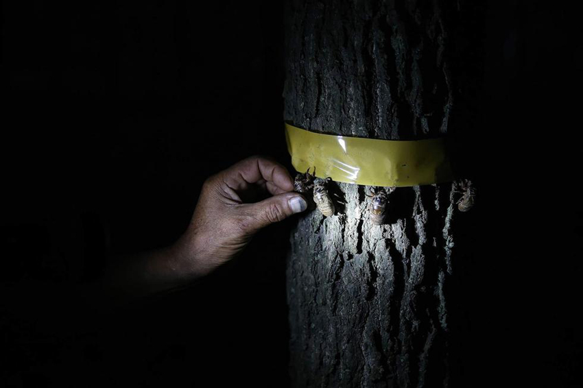 ??? ??? ??? ??… ??? ??? ?? ?? 