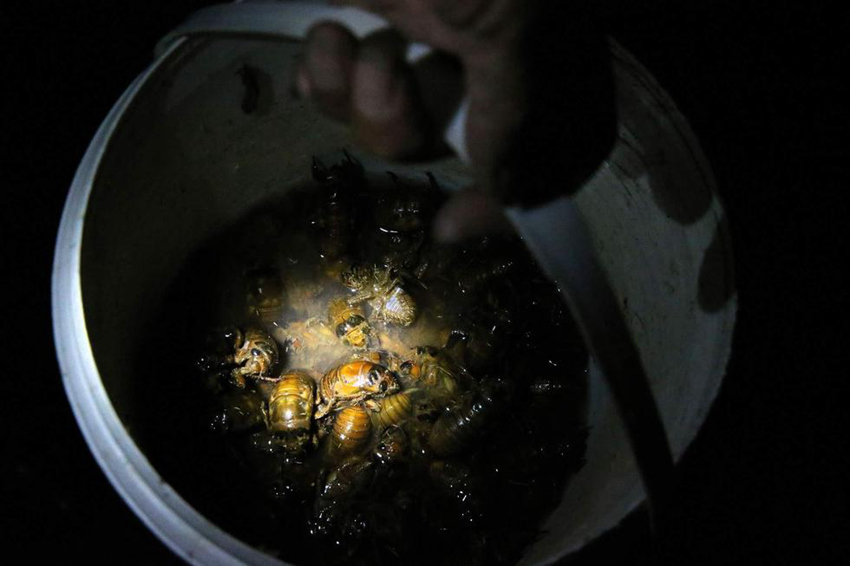 ??? ??? ??? ??… ??? ??? ?? ?? 