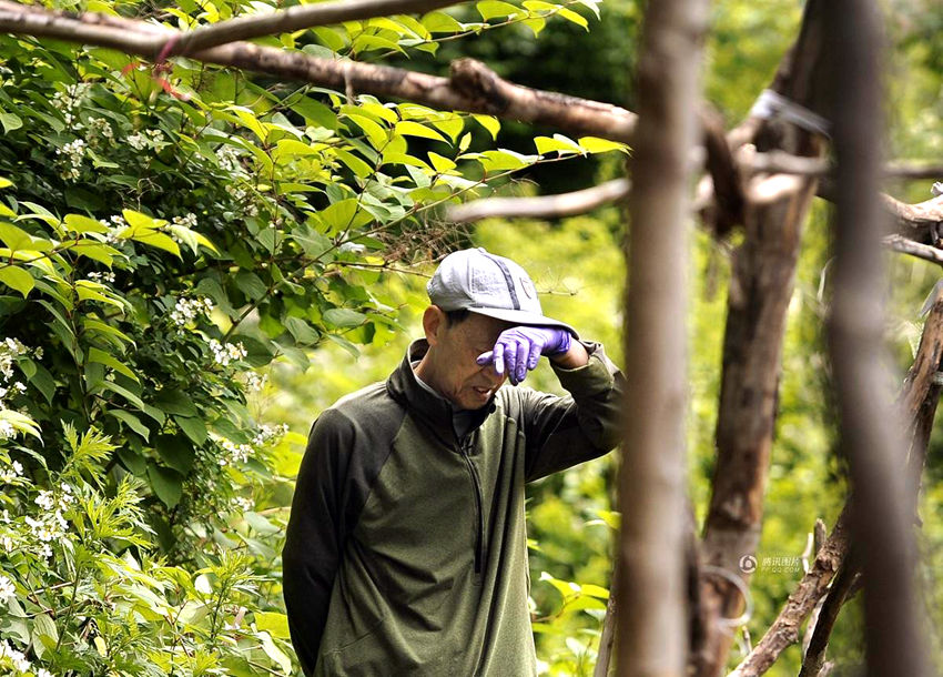 ?? ?? ??? ??? ???? 中 ????? ????