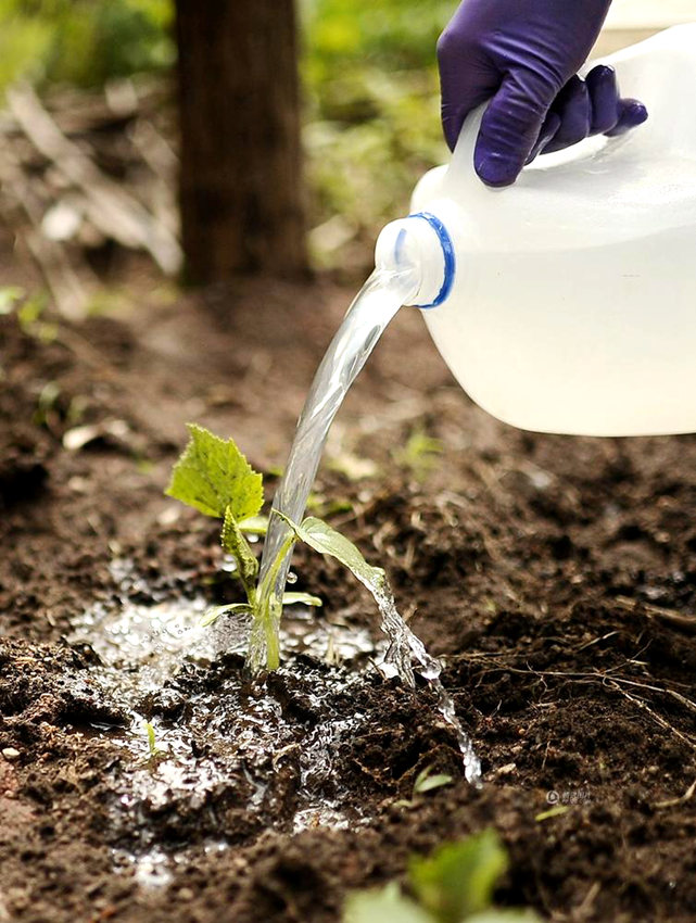 ?? ?? ??? ??? ???? 中 ????? ????