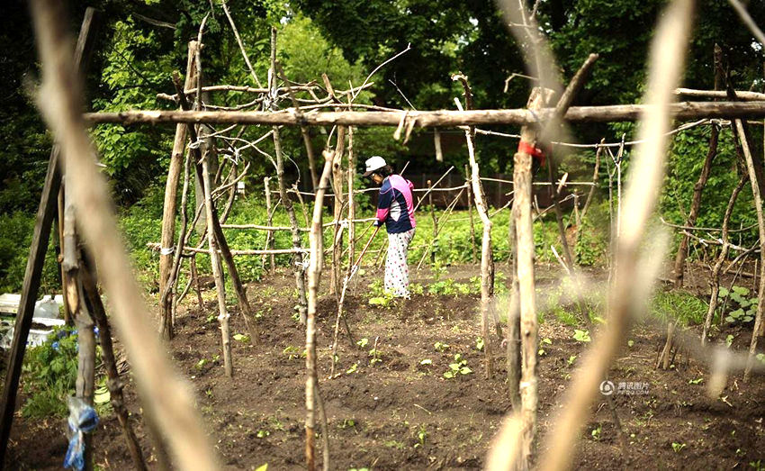 ?? ?? ??? ??? ???? 中 ????? ????