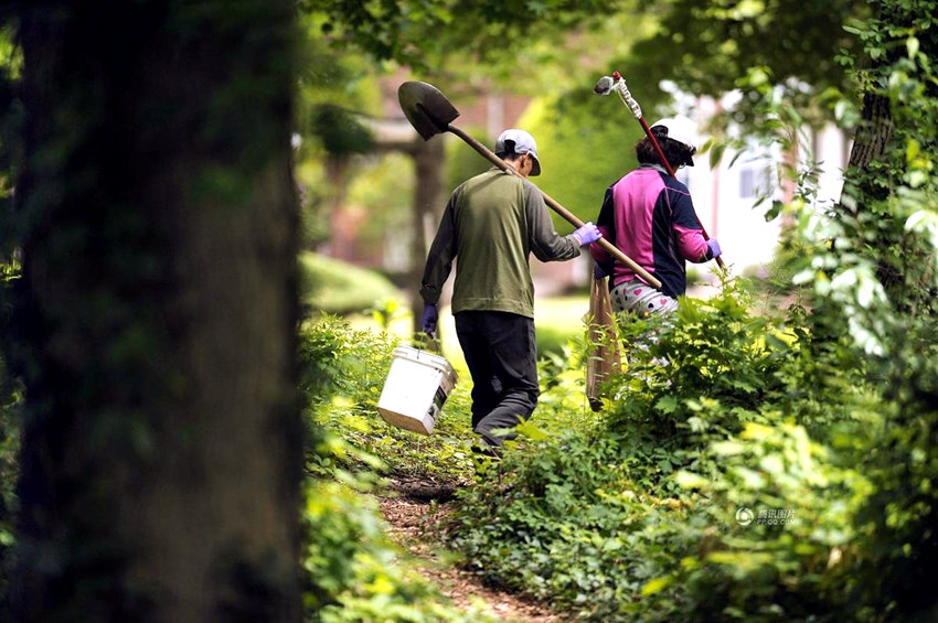 ?? ?? ??? ??? ???? 中 ????? ????