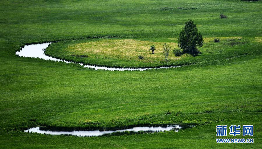 ???? ??? ??? ??, ???? ??? ??