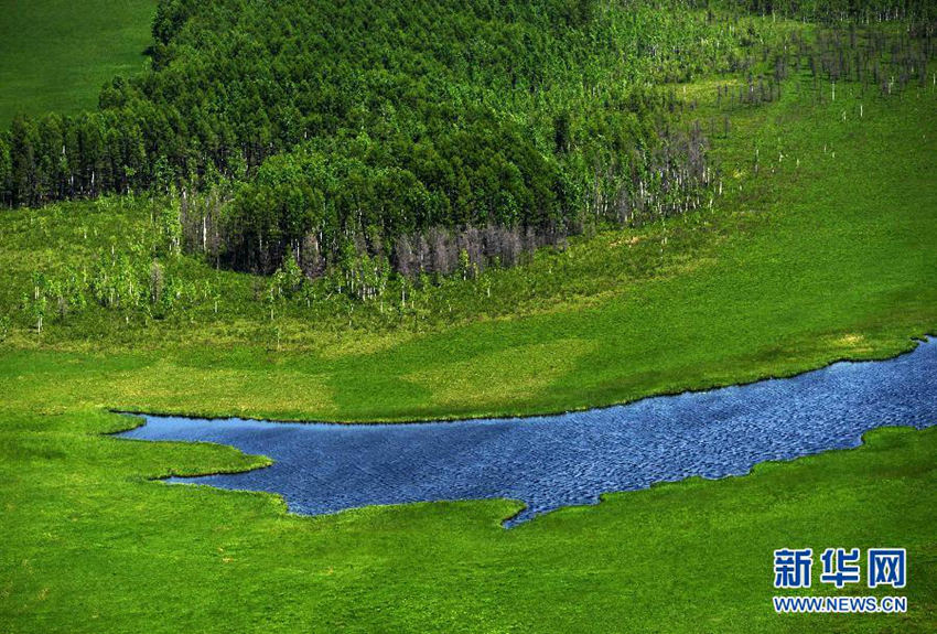 ???? ??? ??? ??, ???? ??? ??