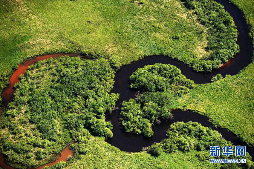 ???? ??? ??? ??, ???? ??? ??