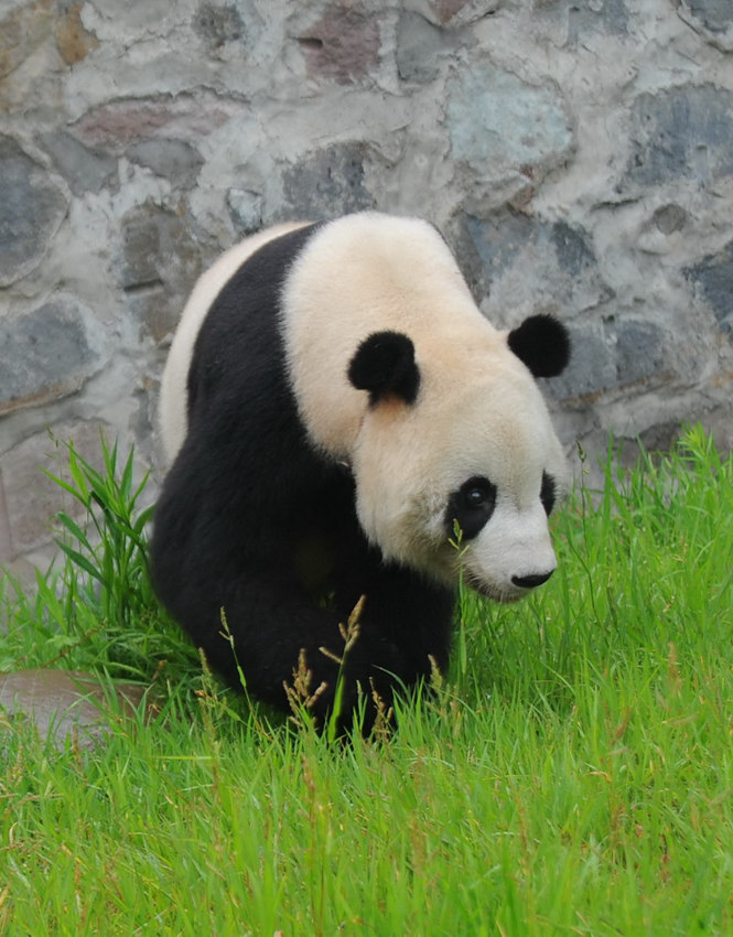 '???’ ?? ‘???', ? 10? ???!