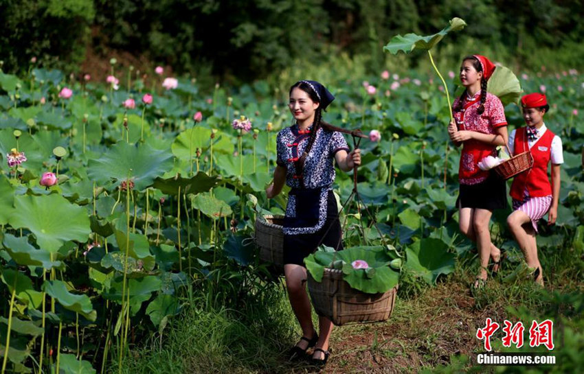 ?? ?? ????, ???? ?? ?? ??? ??